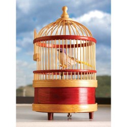 Cage précieuse d’oiseau...